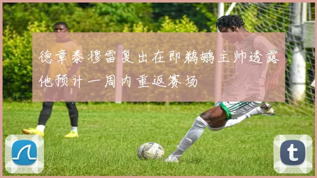德章泰穆雷复出在即鹈鹕主帅透露他预计一周内重返赛场