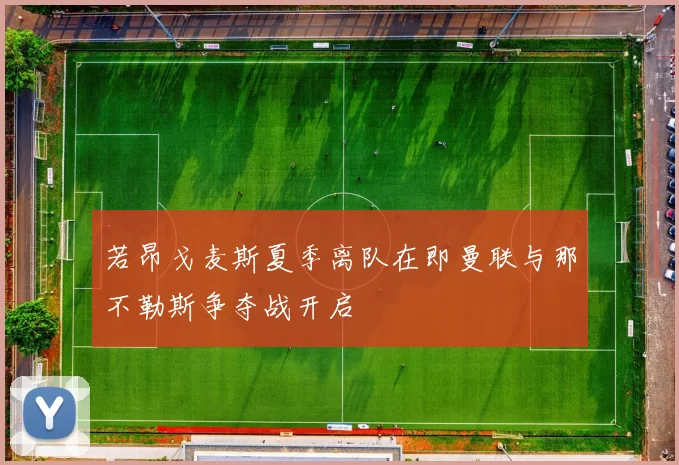 若昂戈麦斯夏季离队在即曼联与那不勒斯争夺战开启
